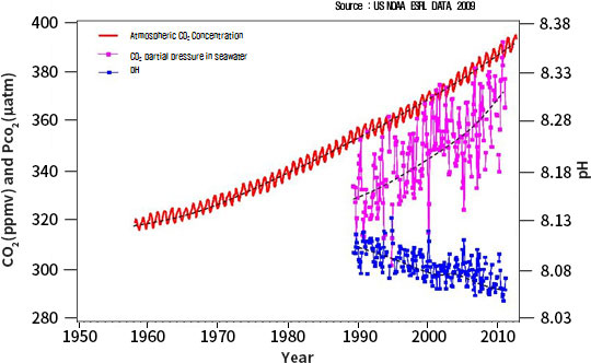 Introduce CCUS to normalize the balance of the Earth_img02