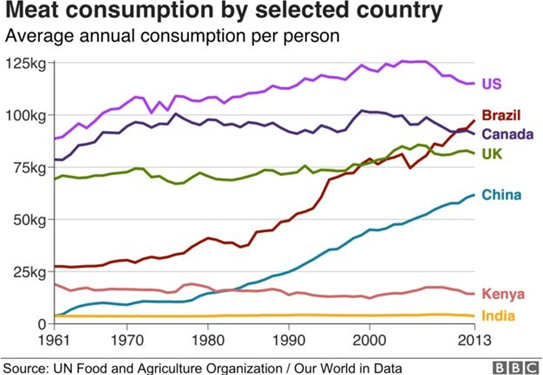 Meat consumption by selected country_img